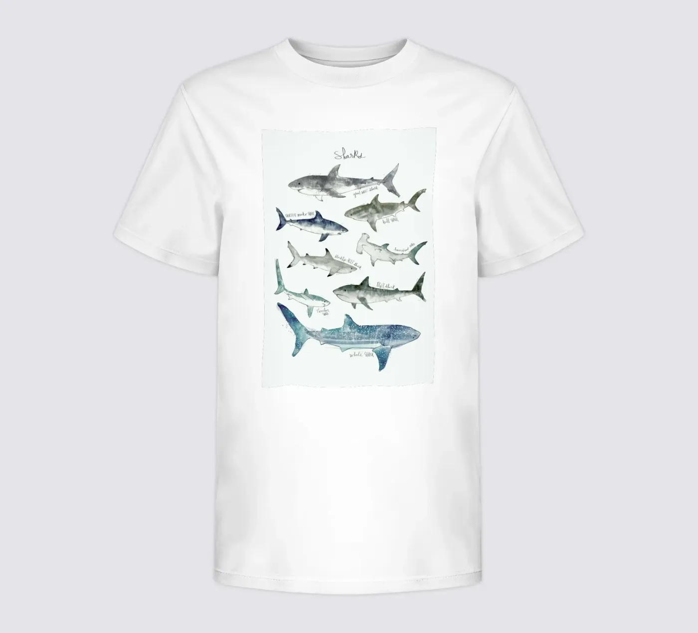 Sharks Kinder T-Shirt von Amy Hamilton