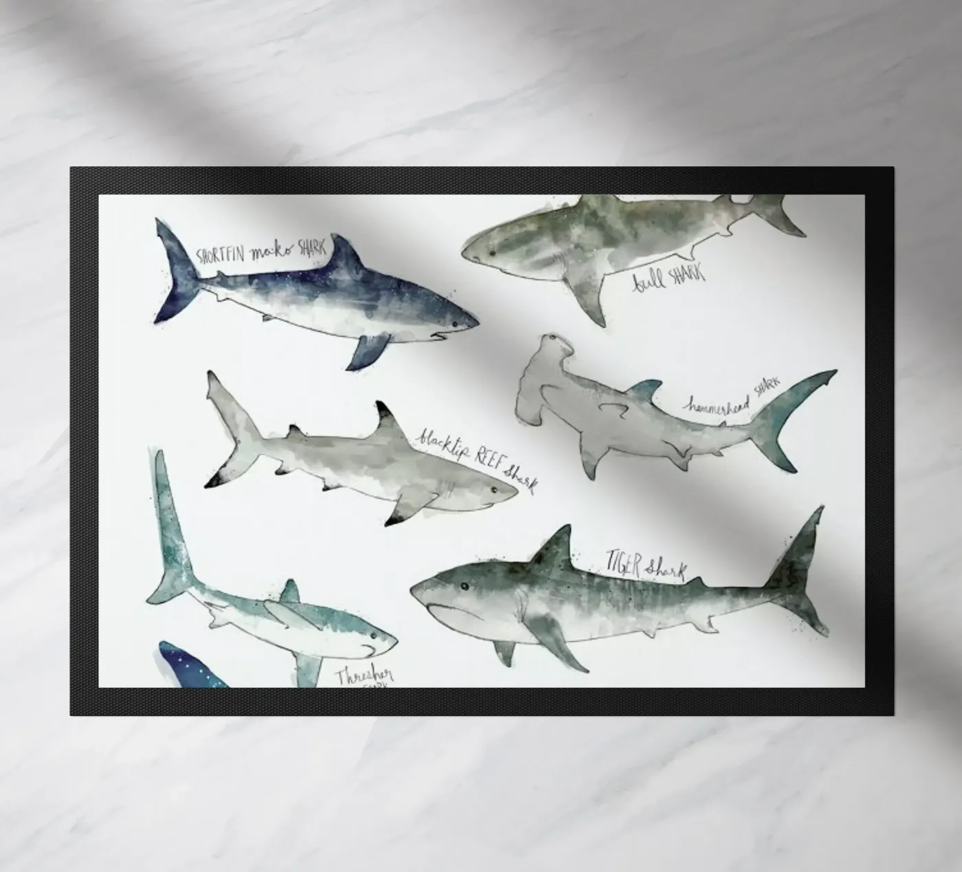 Sharks doormat by Amy Hamilton