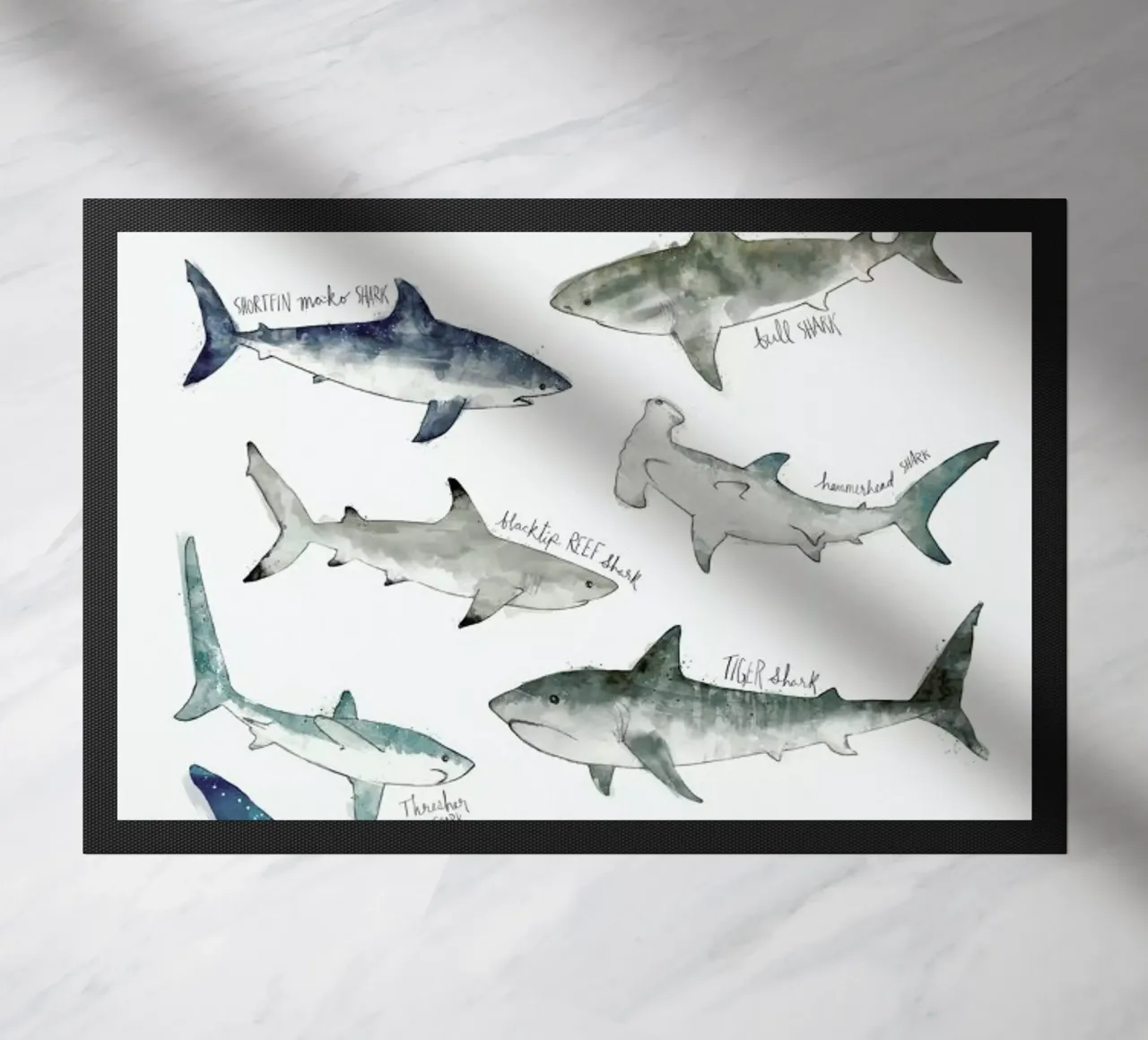 Sharks zerbino da Amy Hamilton