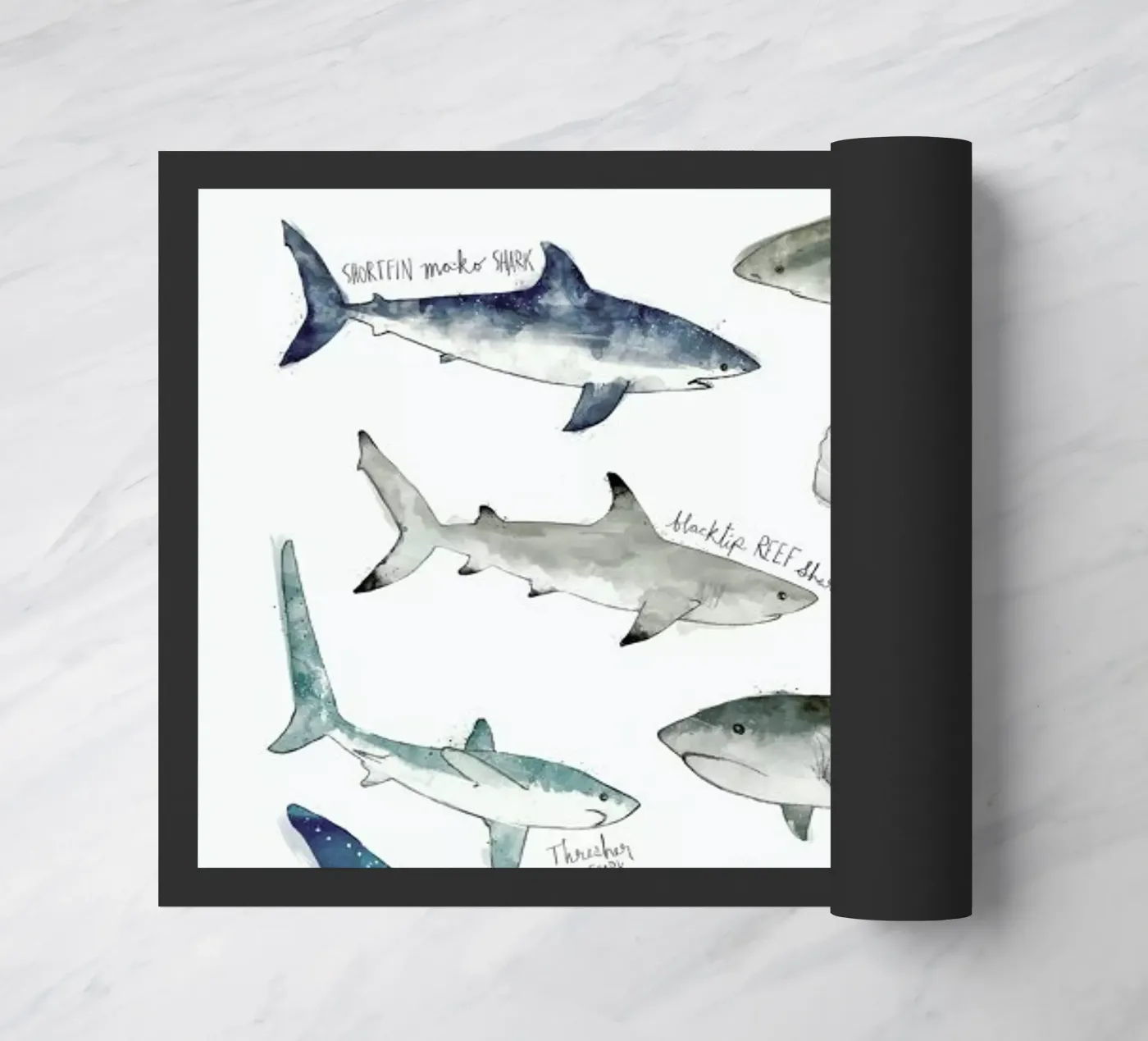 Sharks doormat by Amy Hamilton