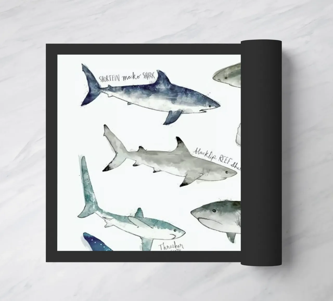 Sharks zerbino da Amy Hamilton