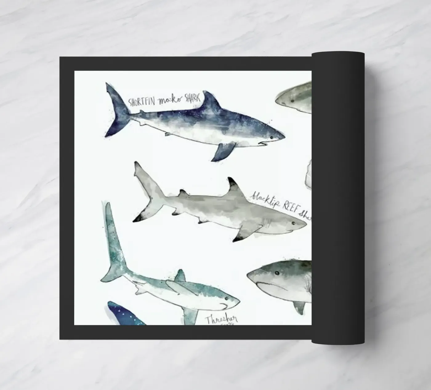 Sharks deurmat van Amy Hamilton