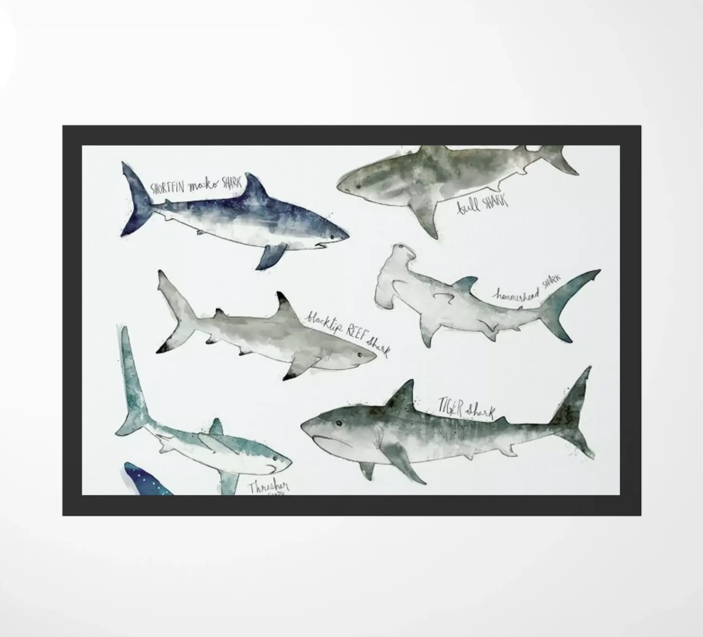 Sharks deurmat van Amy Hamilton