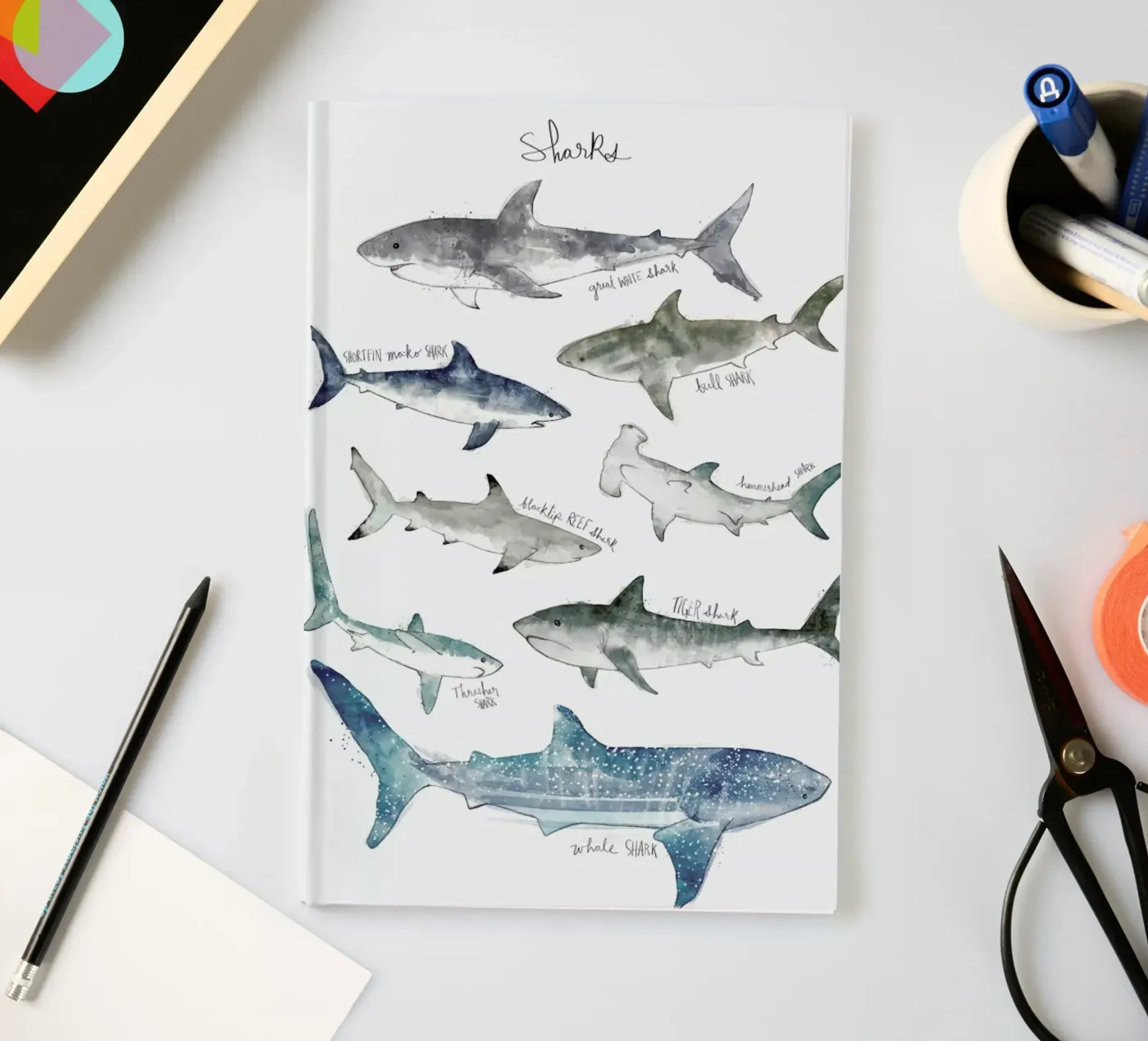 Sharks notebook by Amy Hamilton