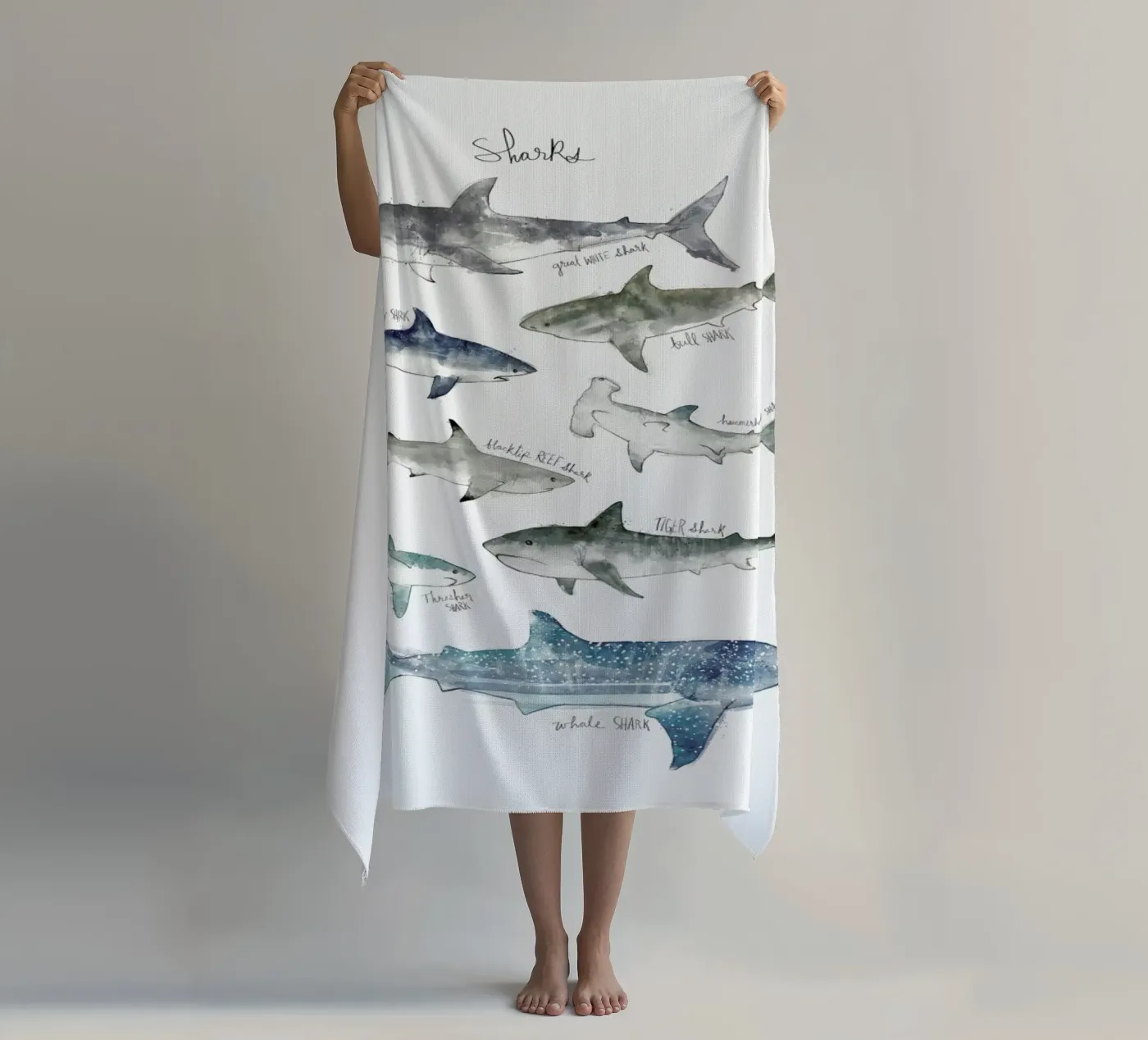 Sharks telo mare da Amy Hamilton