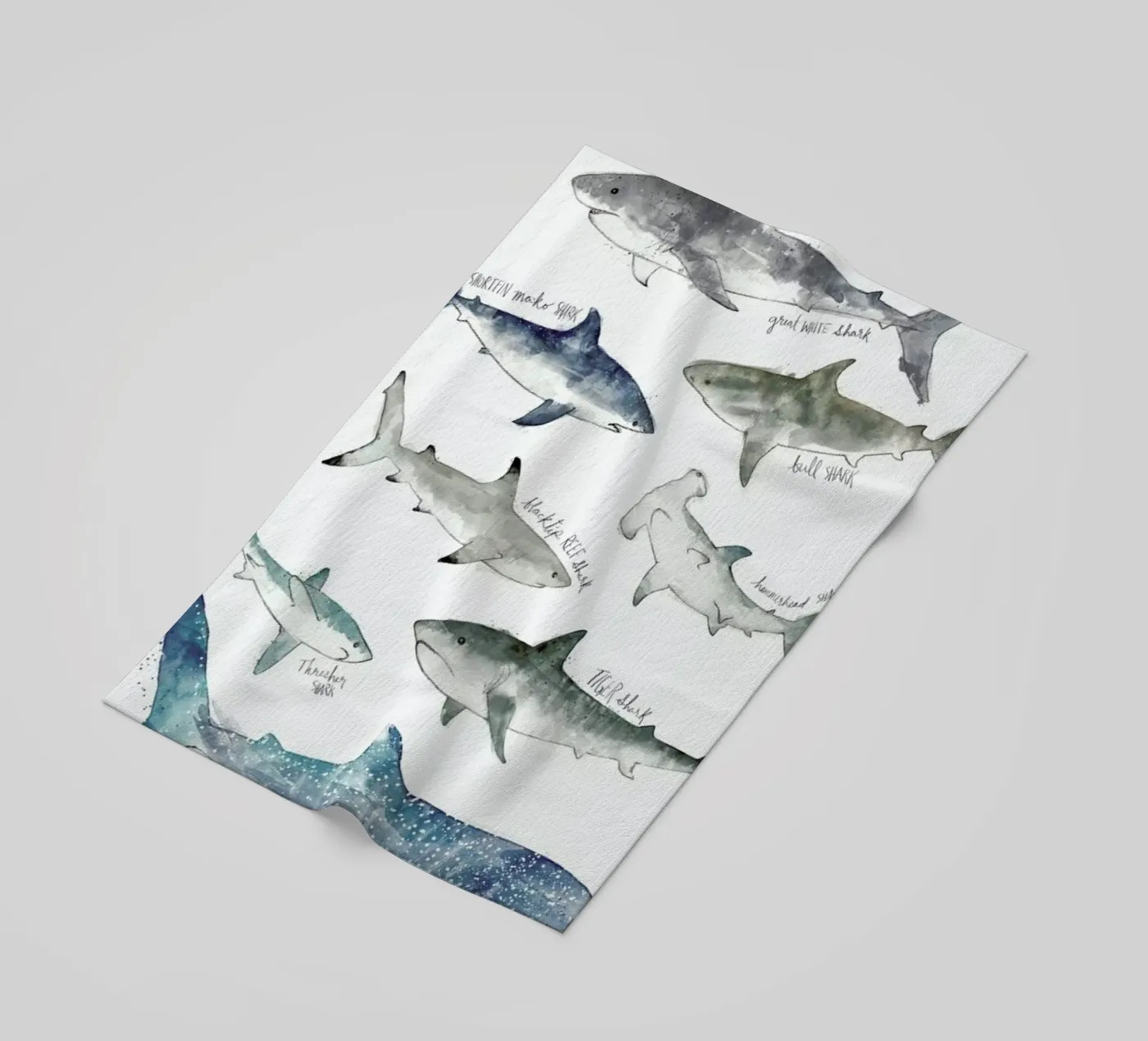 Sharks Strandtuch von Amy Hamilton
