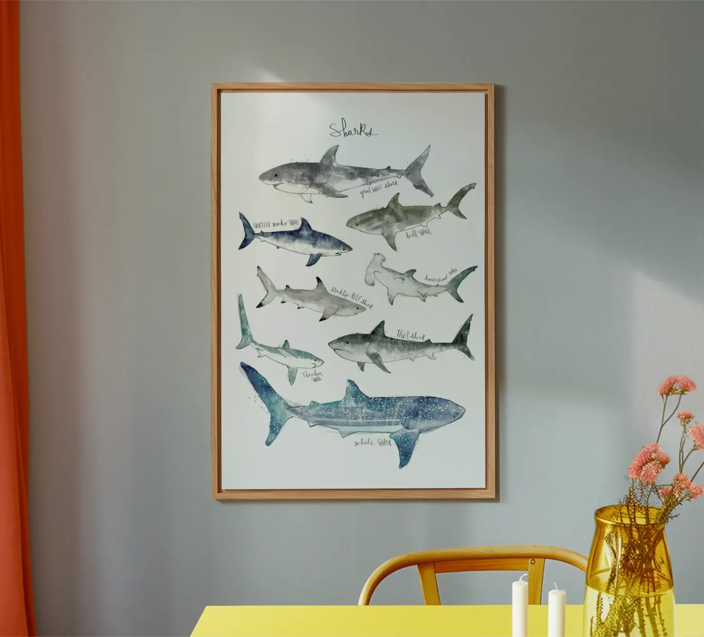 Sharks pannello forex da Amy Hamilton