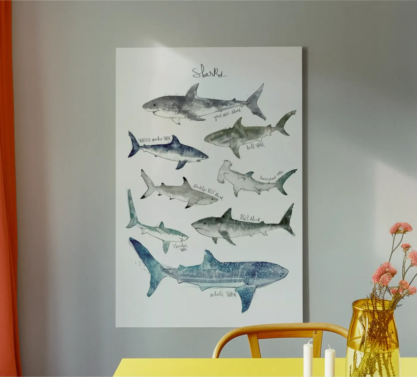 Sharks tela da Amy Hamilton