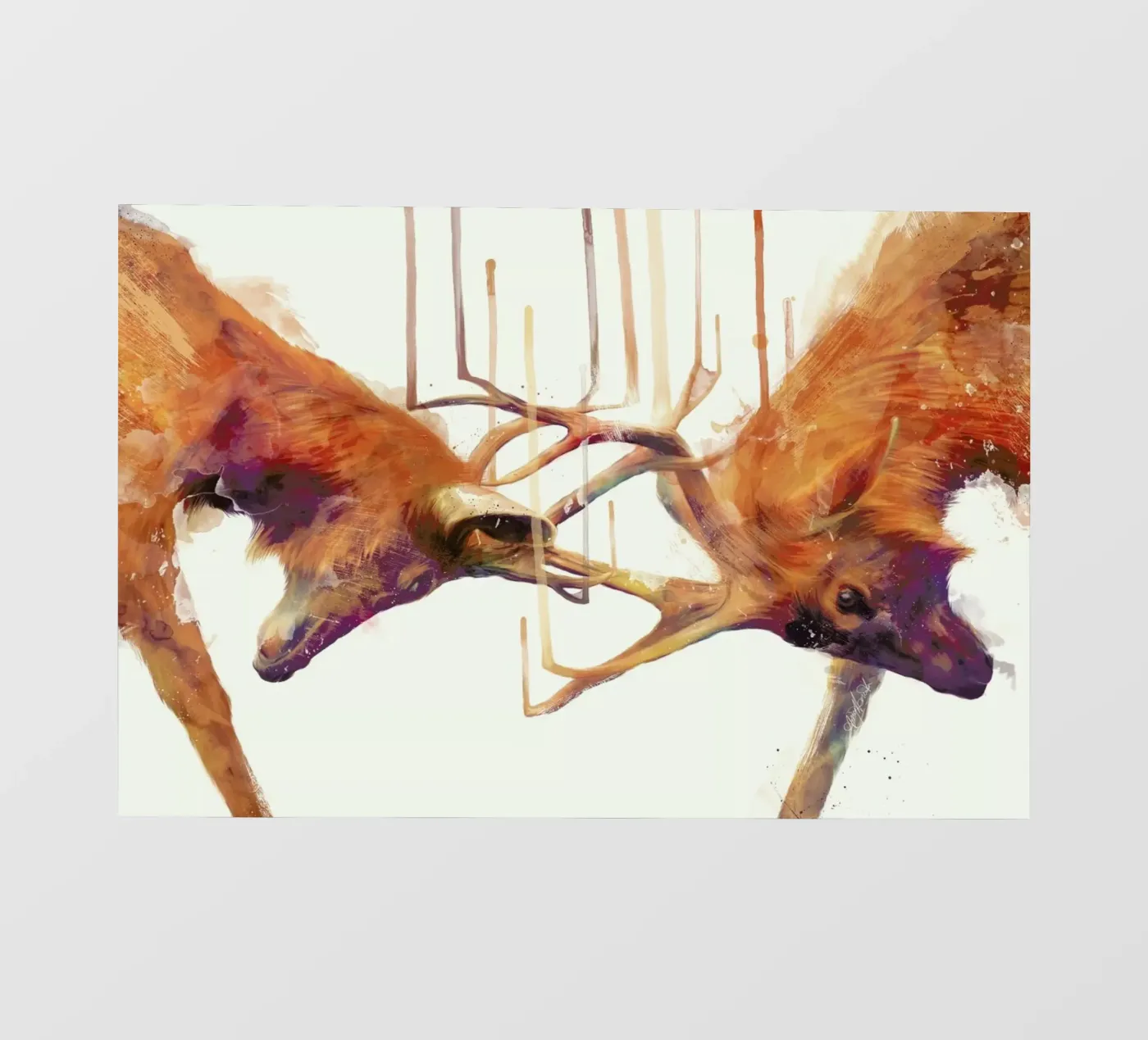 Strong pellicola backlit da Amy Hamilton