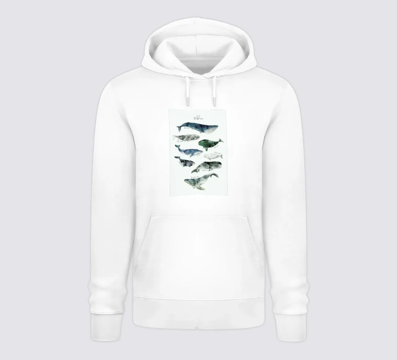 Whales felpa con cappuccio da Amy Hamilton
