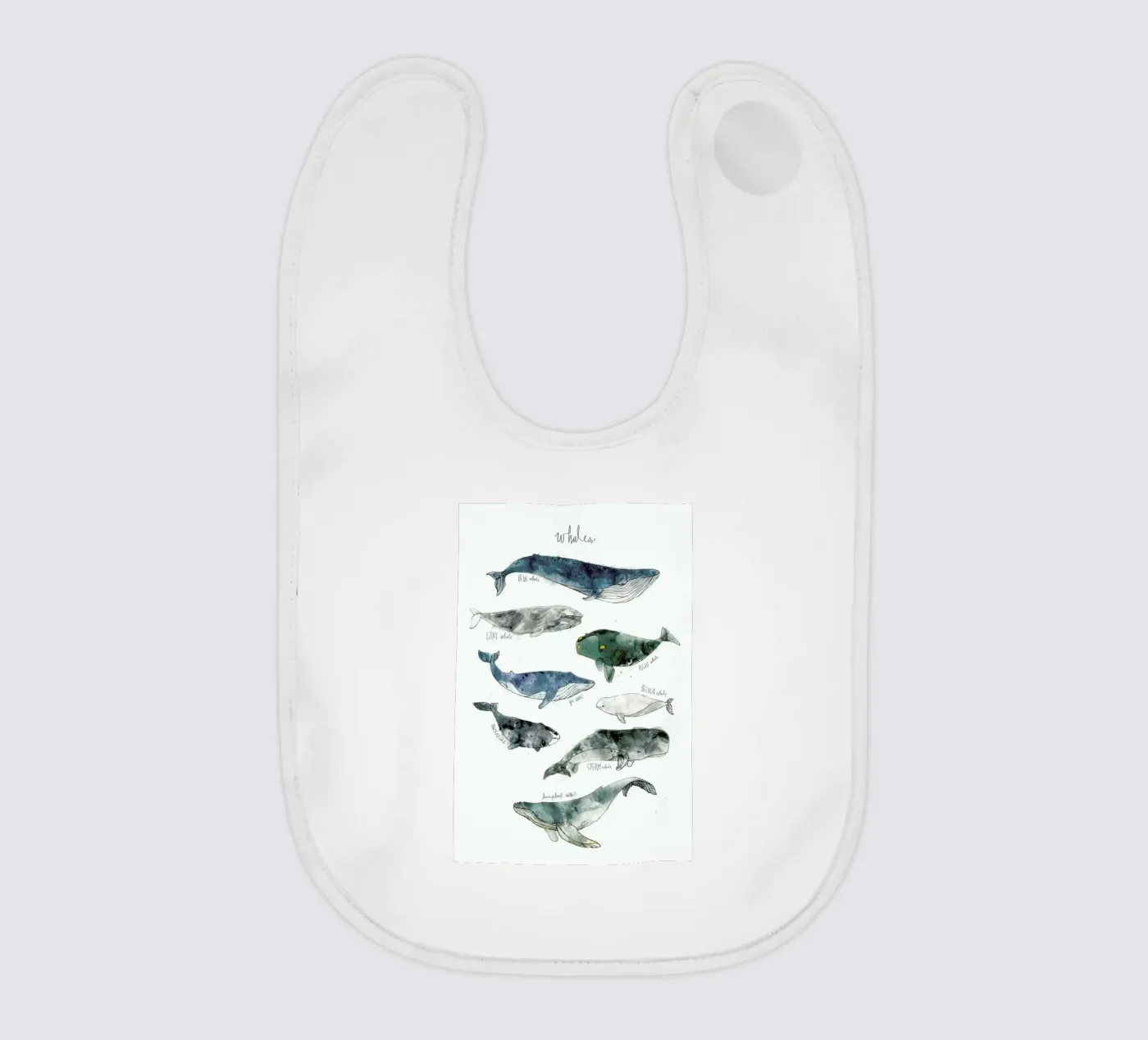 Whales bavaglino da Amy Hamilton