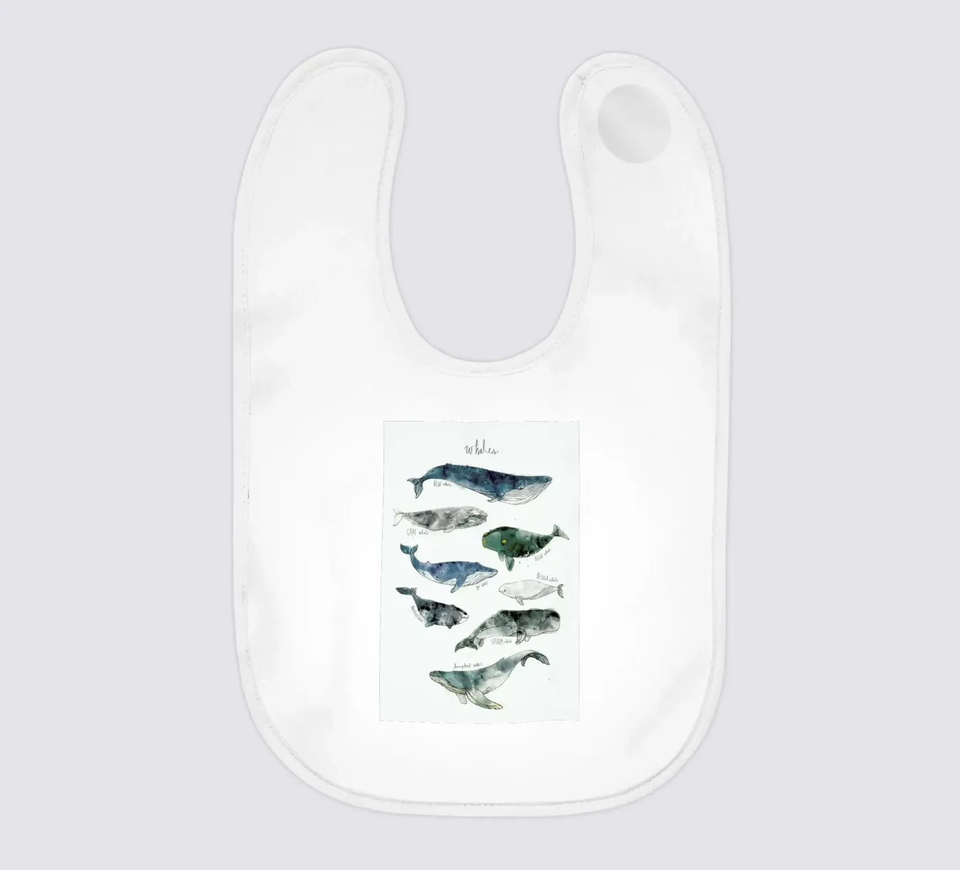 Whales bavaglino da Amy Hamilton