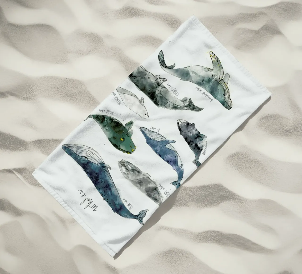 Whales telo mare da Amy Hamilton