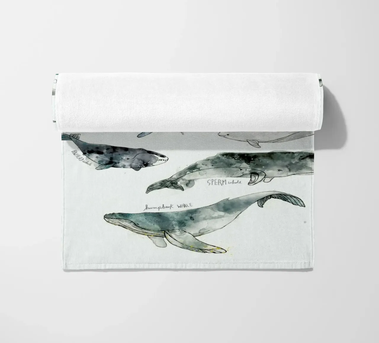 Whales telo mare da Amy Hamilton