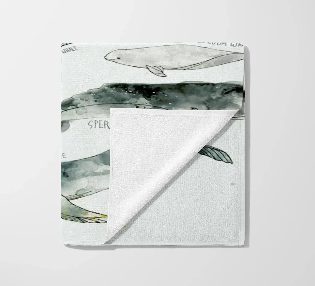 Whales telo mare da Amy Hamilton