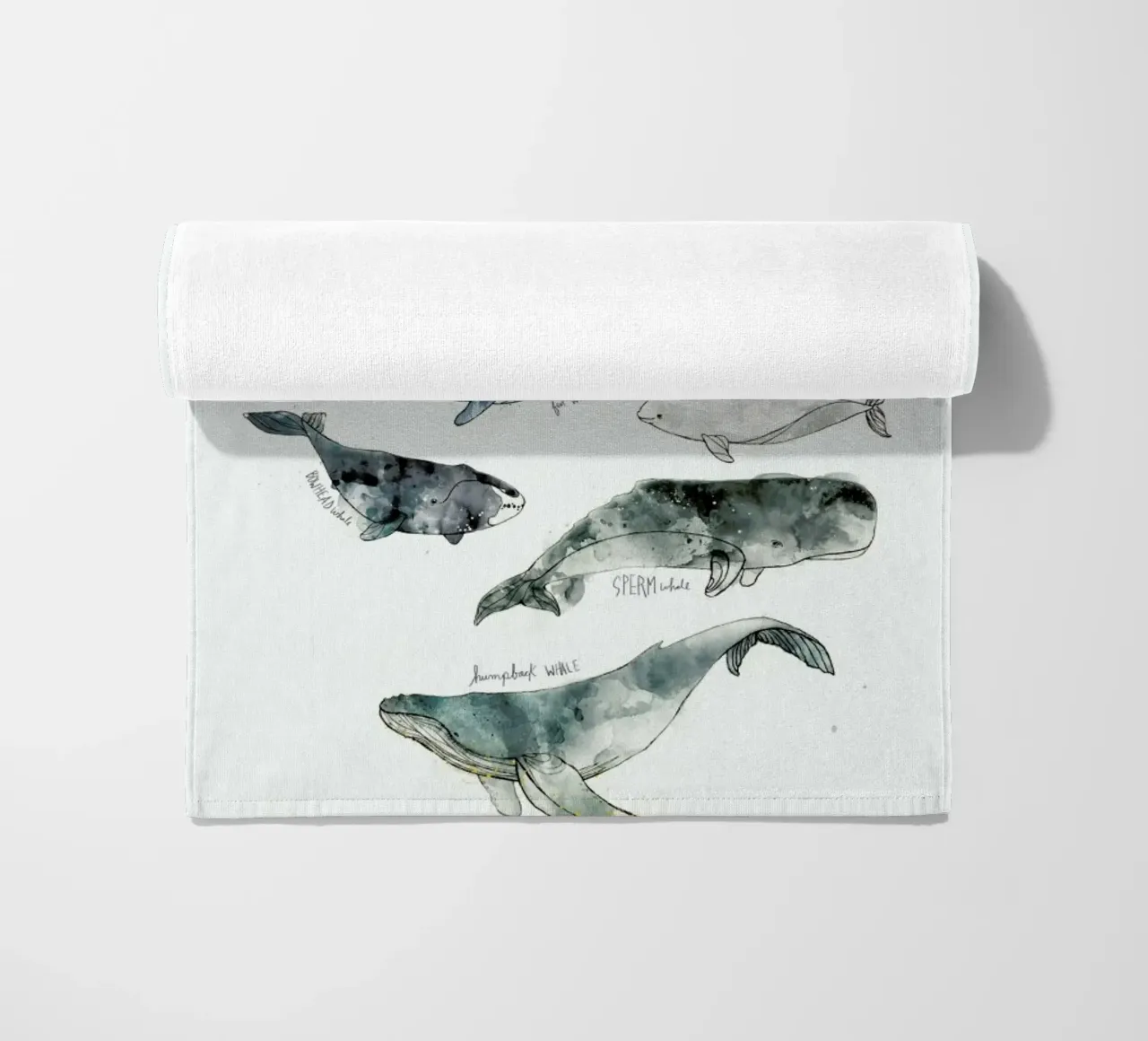 Whales telo mare da Amy Hamilton