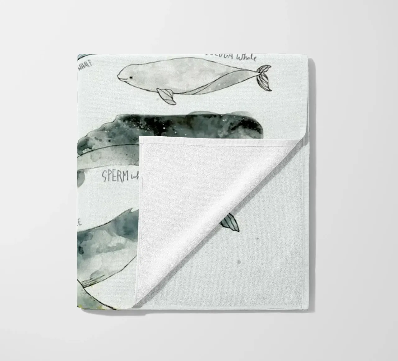 Whales telo mare da Amy Hamilton