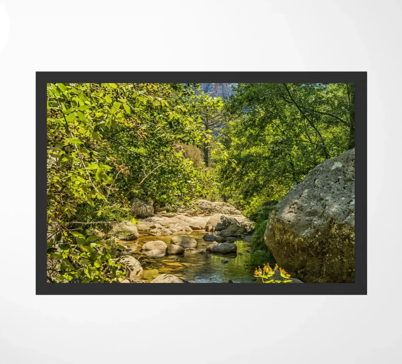 Mountain Stream doormat by Curious Collections by Marielle Leenders