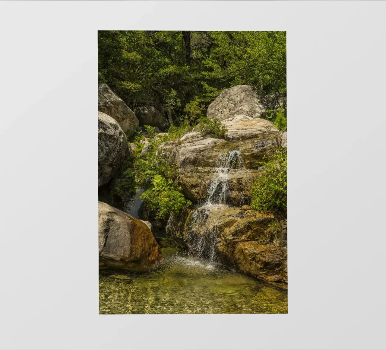 Piccola cascata pellicola backlit da Curious Collections by Marielle Leenders