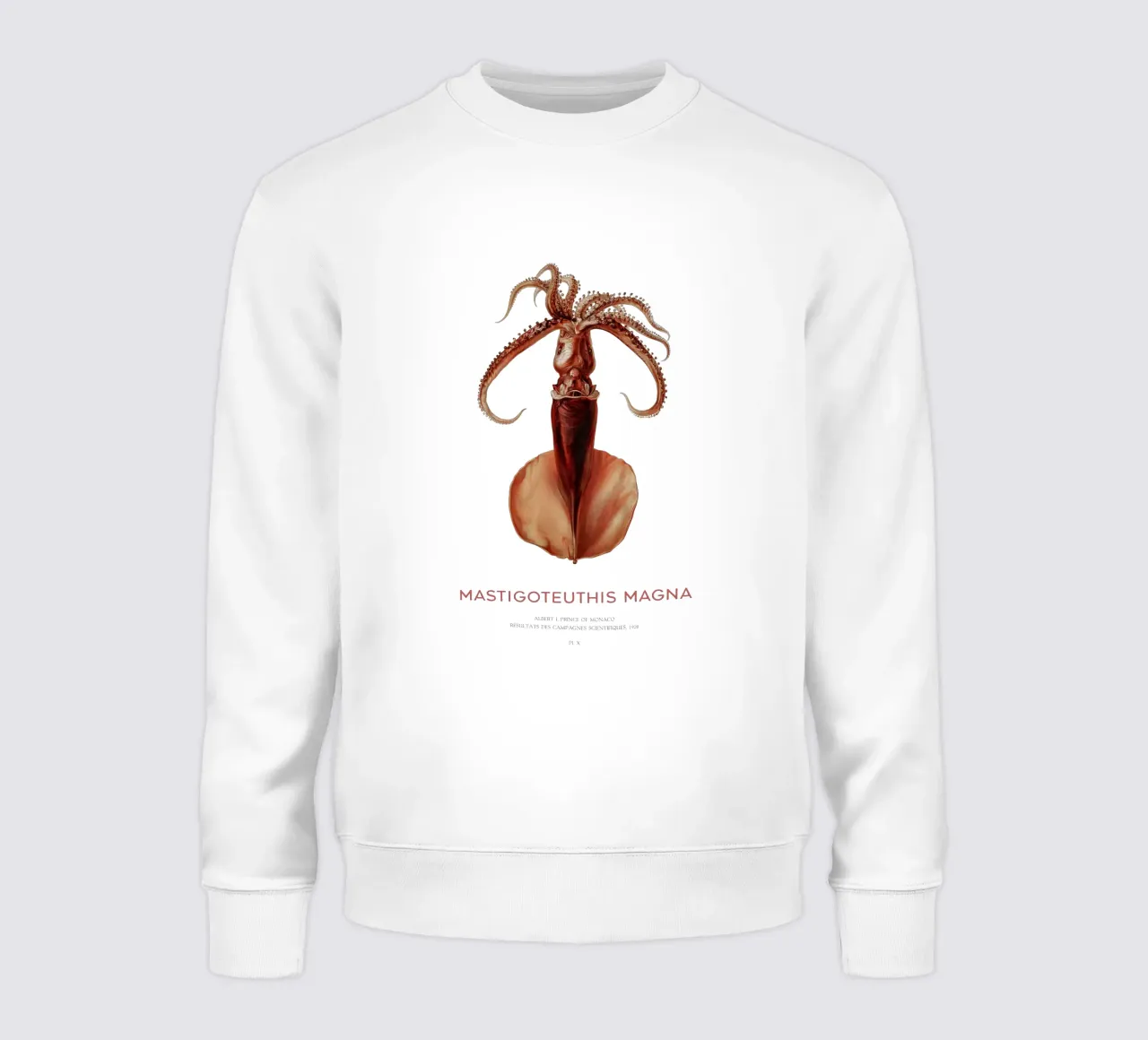 Calamaro di profondità o Mastigoteuthis Magna felpa da Vintagrafica
