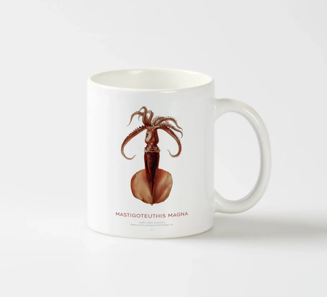 Calamaro di profondità o Mastigoteuthis Magna tazza in ceramica da Vintagrafica