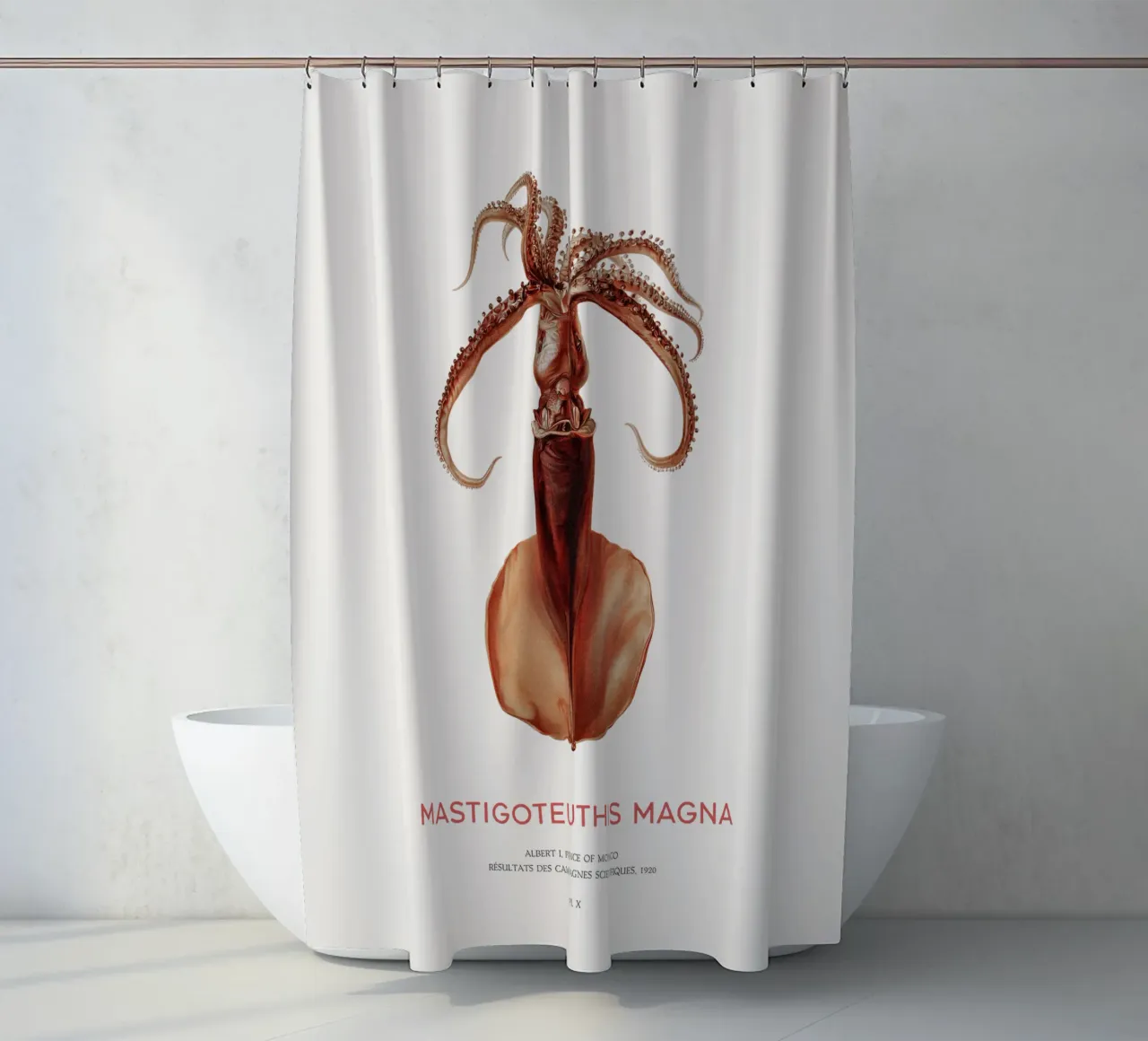 Deep Sea Squid or Mastigoteuthis Magna shower curtain by Vintagrafica