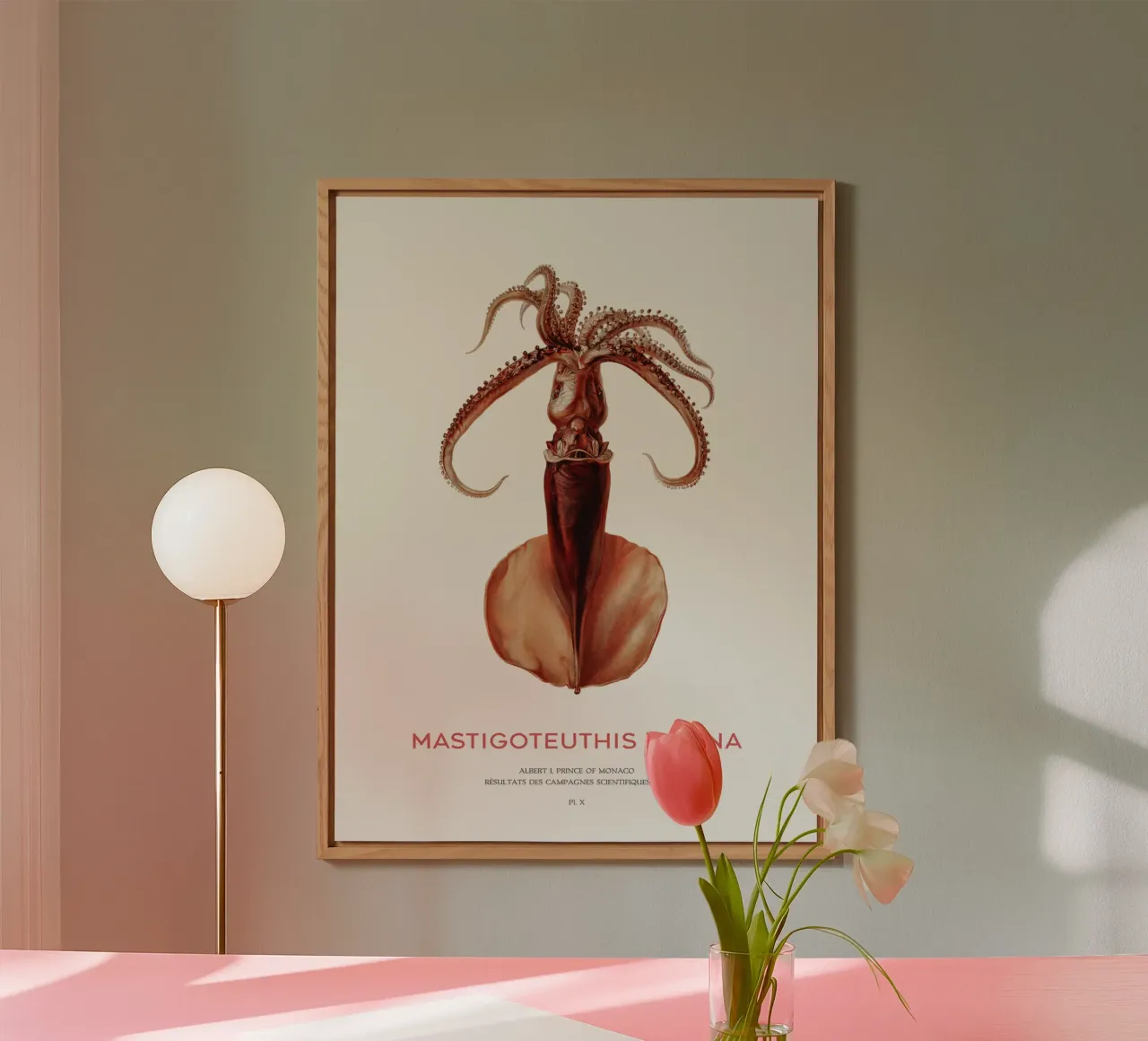 Calamaro di profondità o Mastigoteuthis Magna alluminio dibond da Vintagrafica
