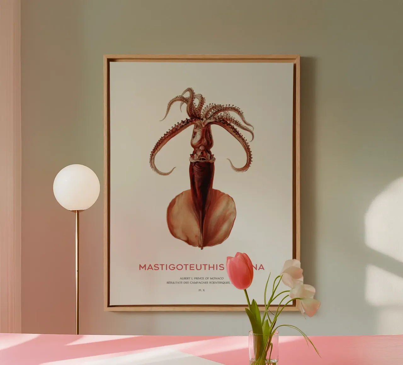 Tiefseekalmar oder Mastigoteuthis Magna Leinwand mit Schattenfugenrahmen von Vintagrafica