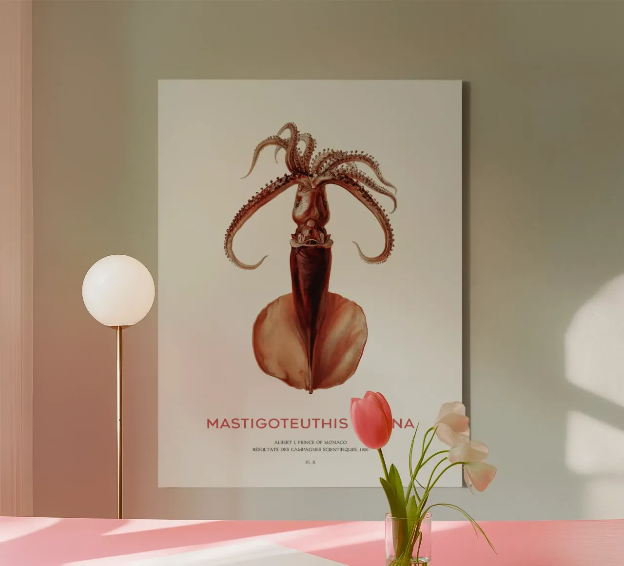 Tiefseekalmar oder Mastigoteuthis Magna Leinwand mit Schattenfugenrahmen von Vintagrafica