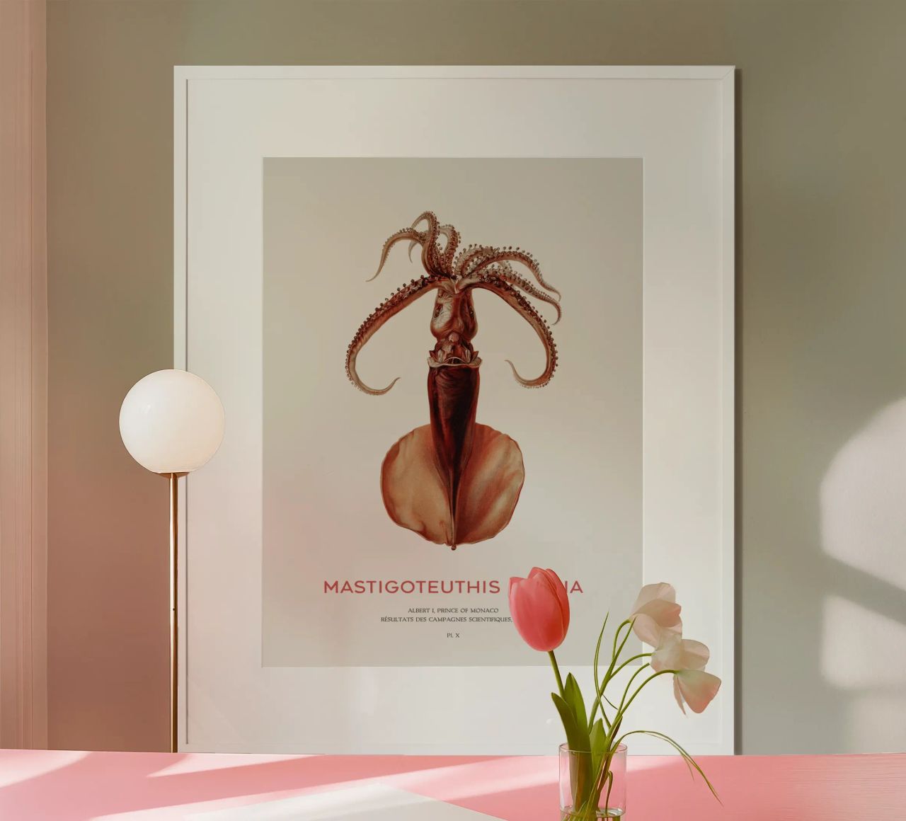 Calamar de aguas profundas o Mastigoteuthis Magna poster de Vintagrafica