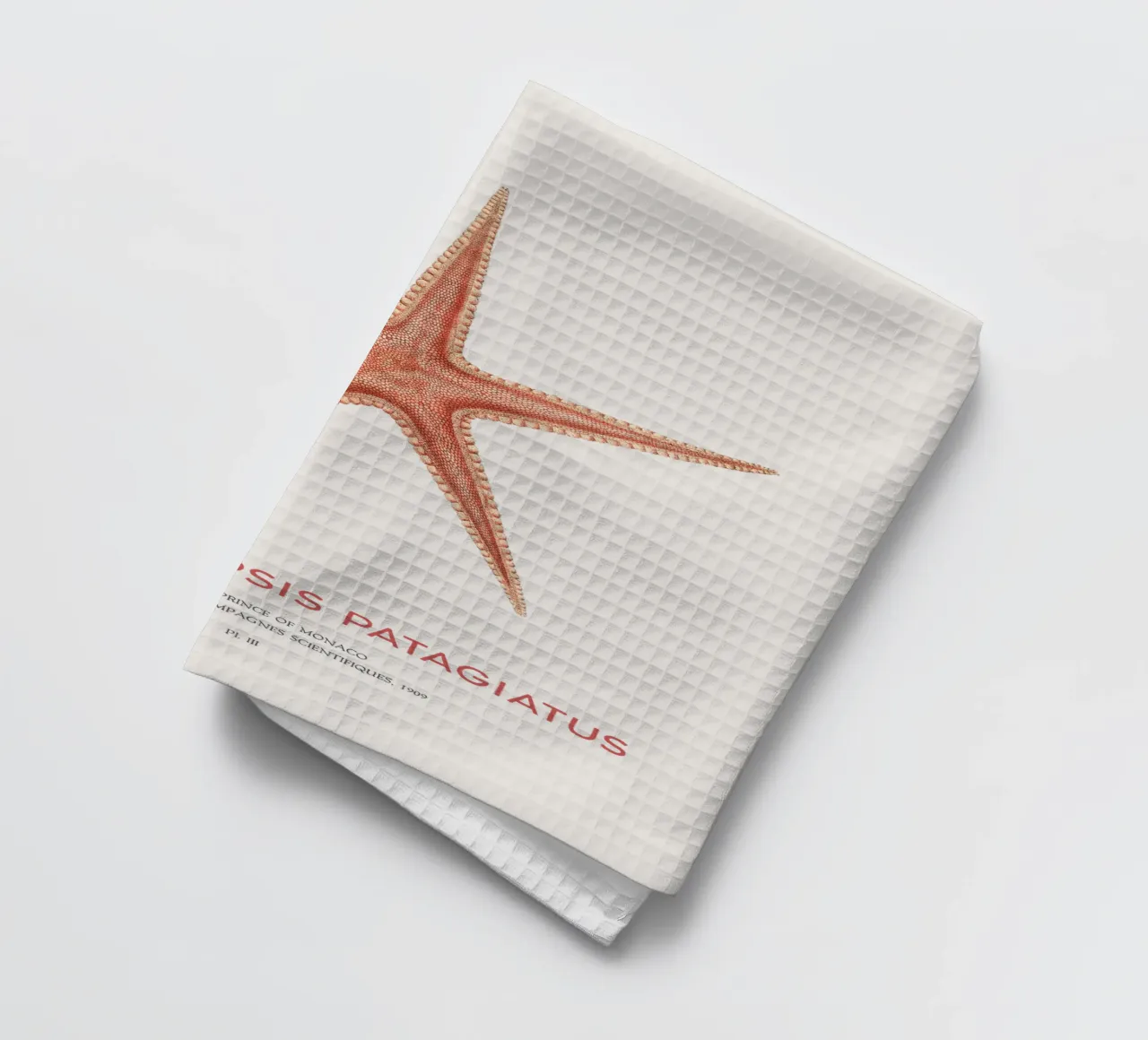 Starfish Psilasteropsis Patagiatus tea towel by Vintagrafica