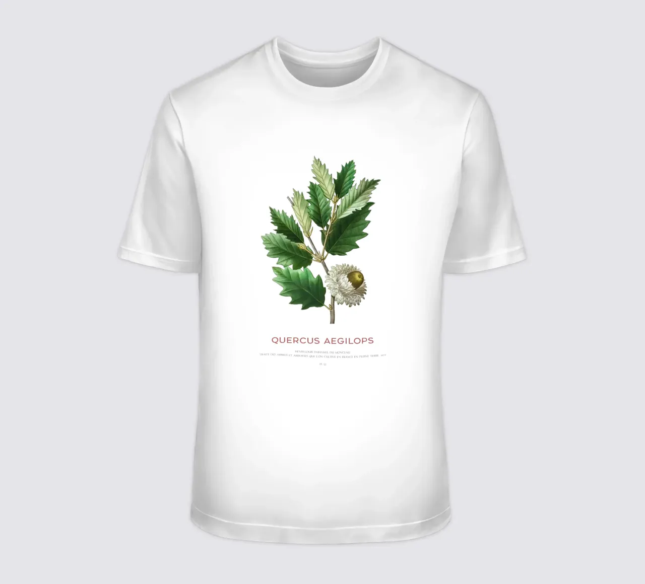 Quercia di Valonia o Quercus Aegilops t-shirt da Vintagrafica