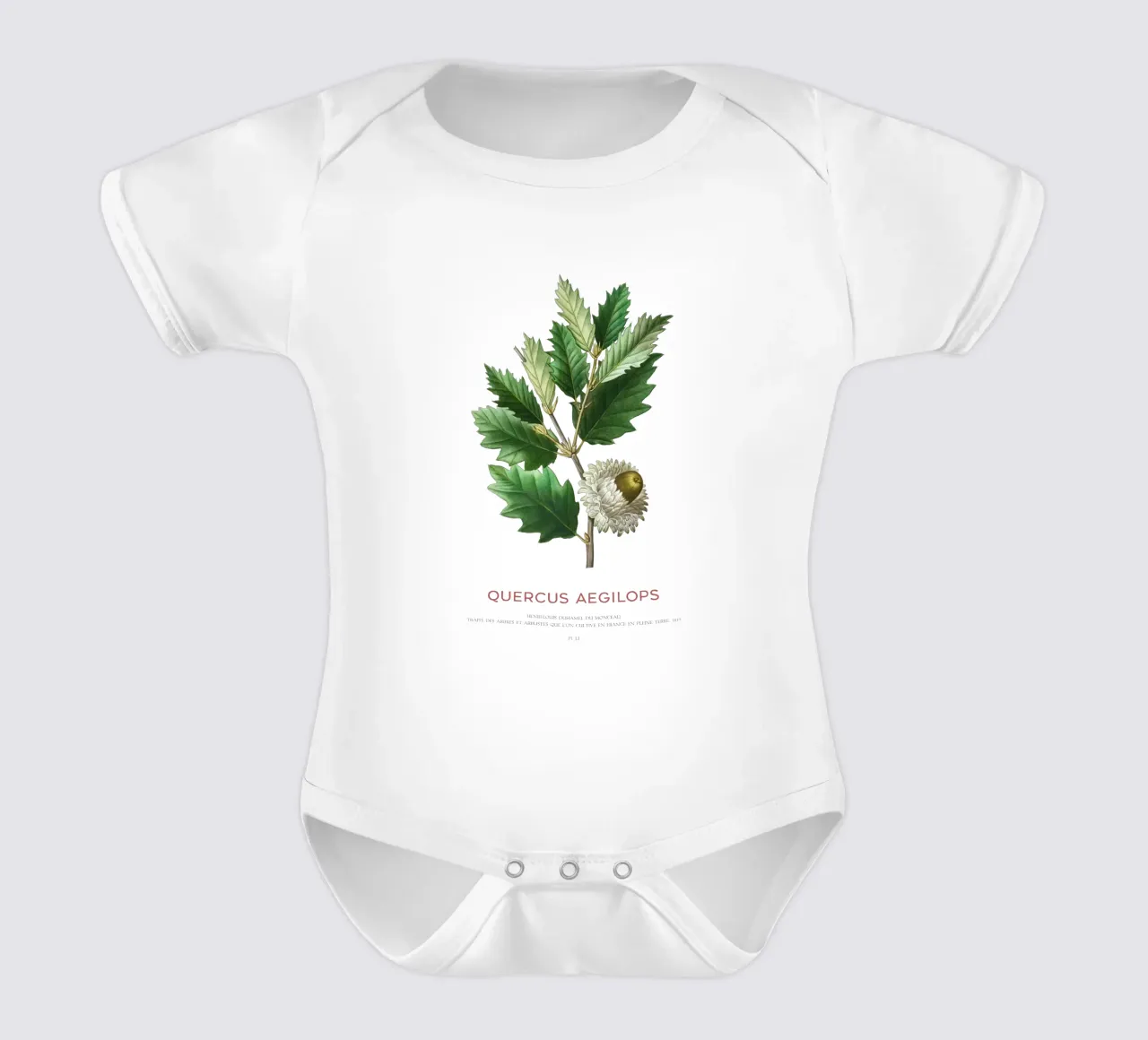 Valonia-Eiche oder Quercus Aegilops Kurzarm Babybody von Vintagrafica