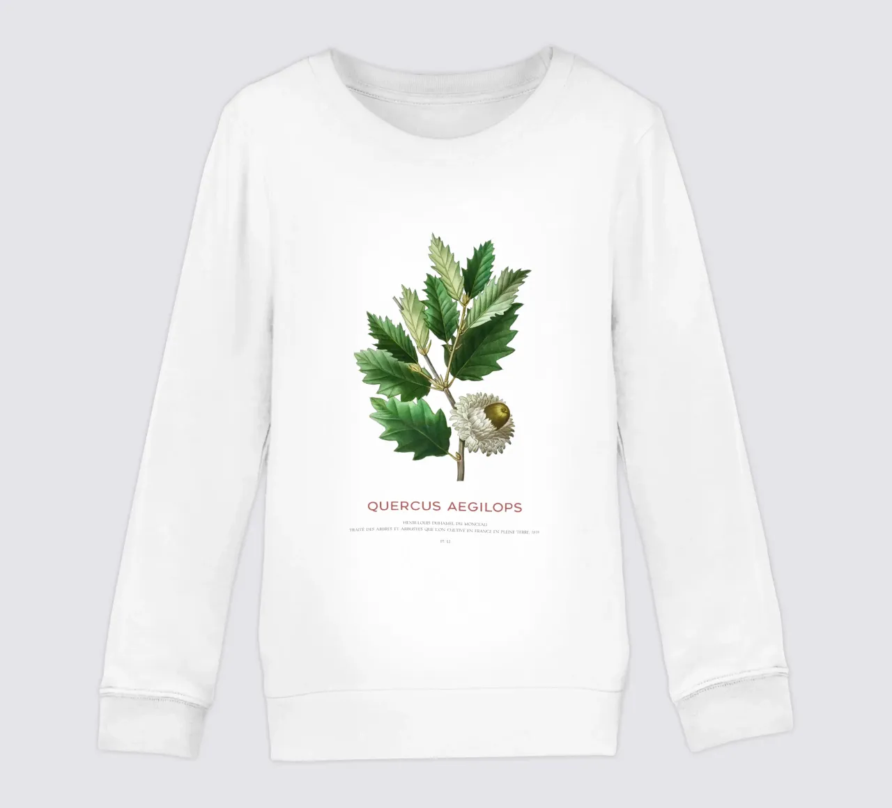 Quercia di Valonia o Quercus Aegilops felpa bambino da Vintagrafica