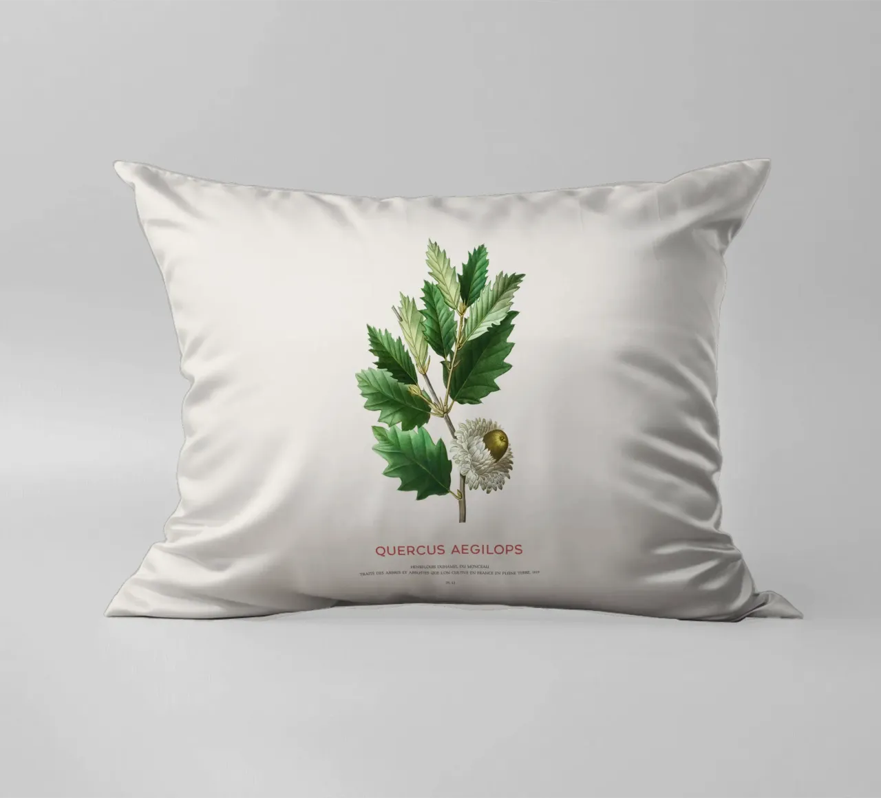 Quercia di Valonia o Quercus Aegilops cuscino da Vintagrafica
