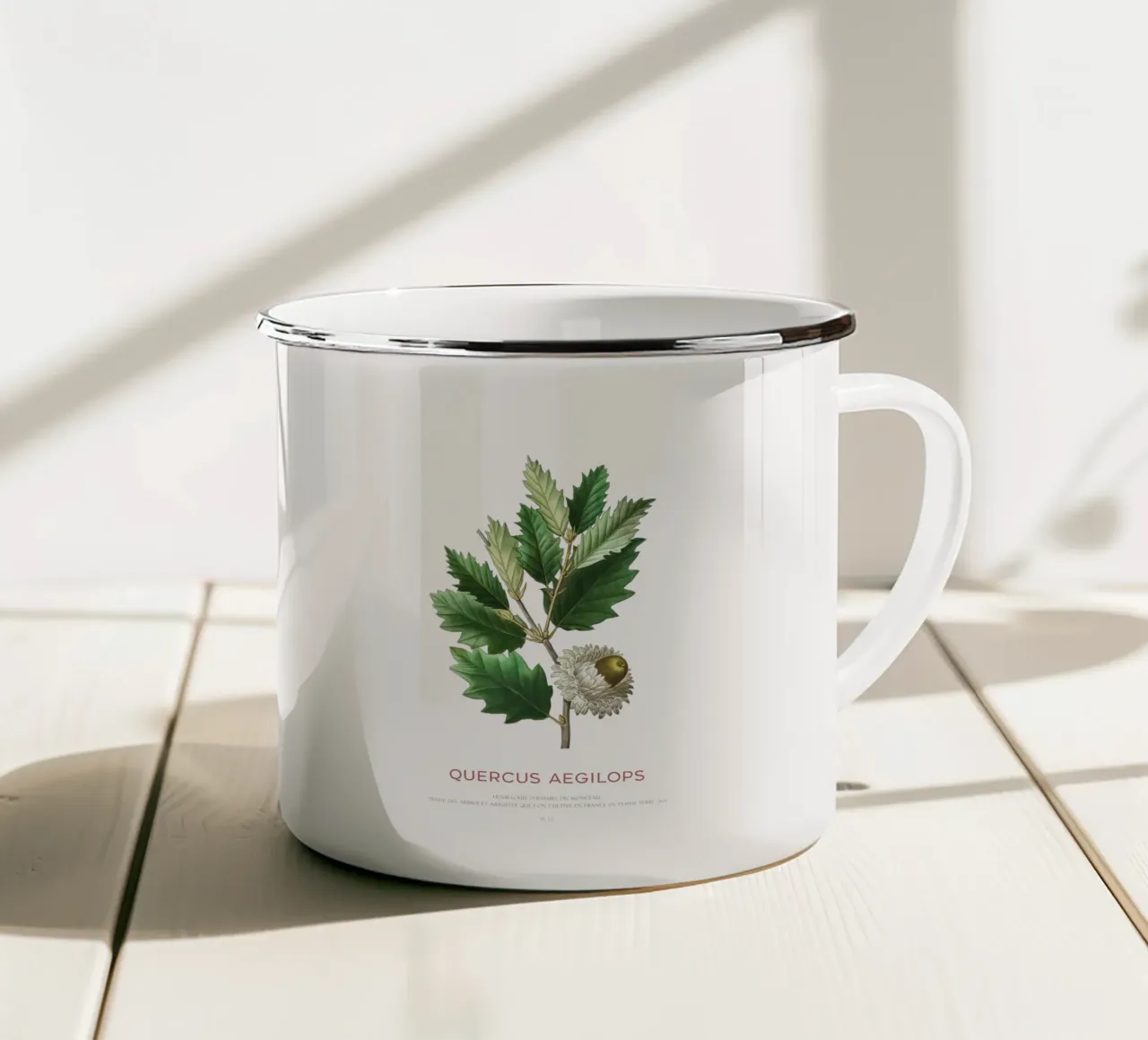 Quercia di Valonia o Quercus Aegilops tazza in smalto da Vintagrafica