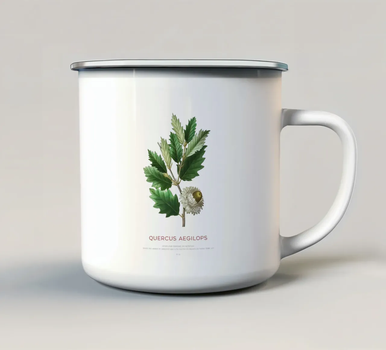 Quercia di Valonia o Quercus Aegilops tazza in smalto da Vintagrafica