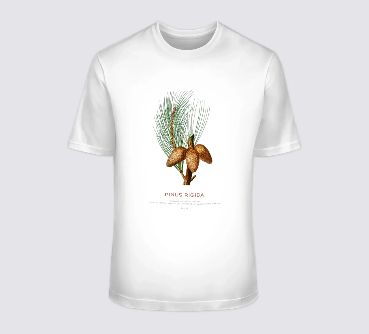 Pechkiefer oder Pinus Rigida T-Shirt von Vintagrafica