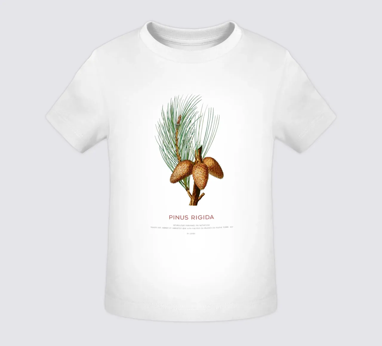 Pitch pine or Pinus Rigida baby t-shirt by Vintagrafica