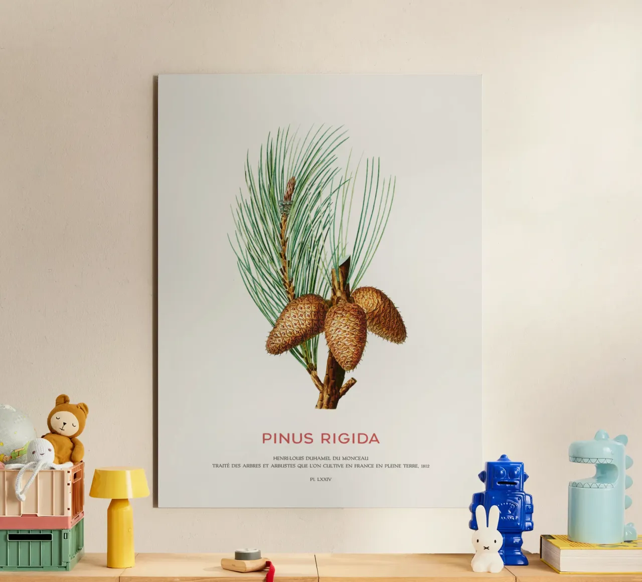 Pechkiefer oder Pinus Rigida Alu-Dibond von Vintagrafica