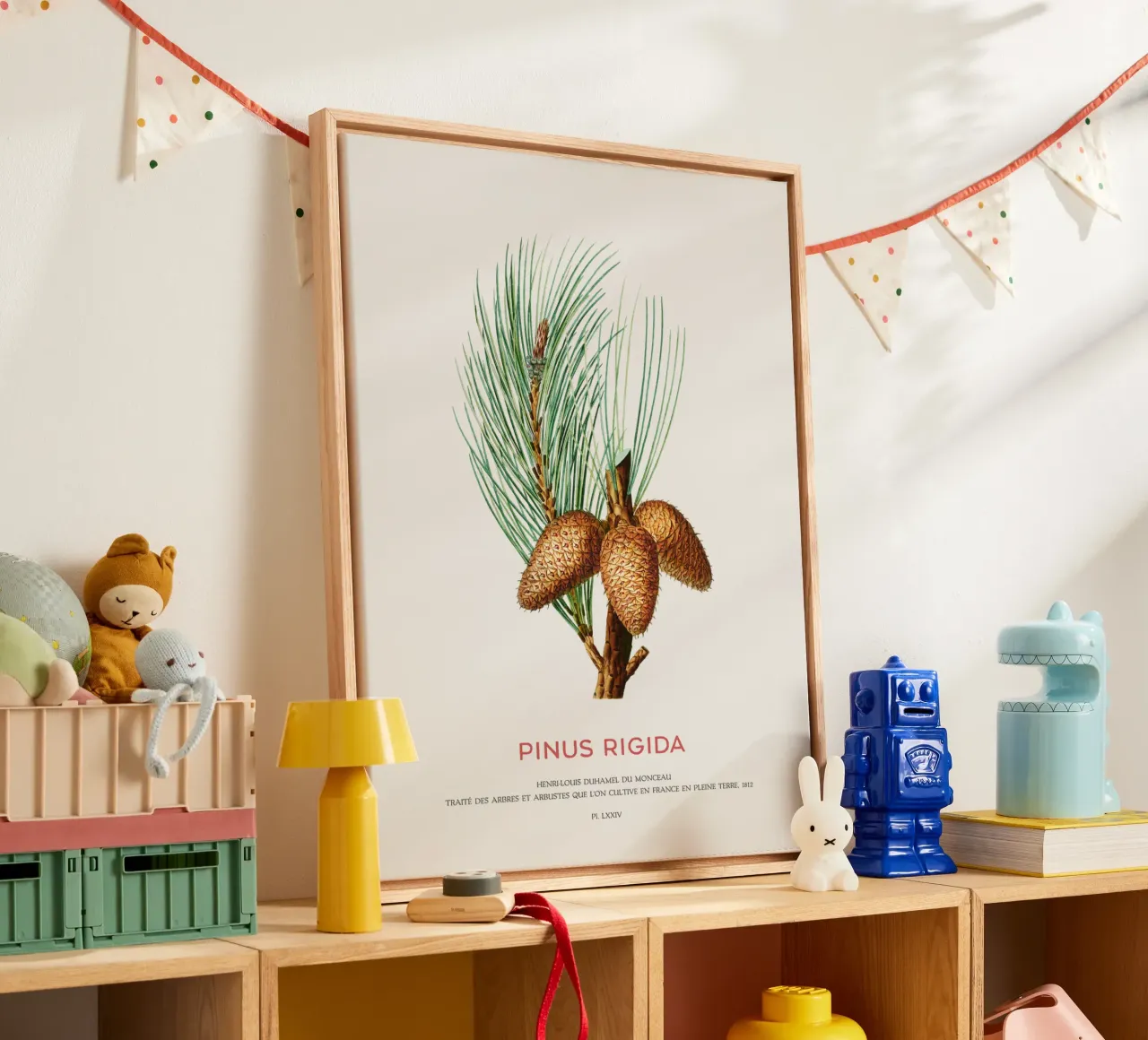 Pitch pine or Pinus Rigida canvas by Vintagrafica