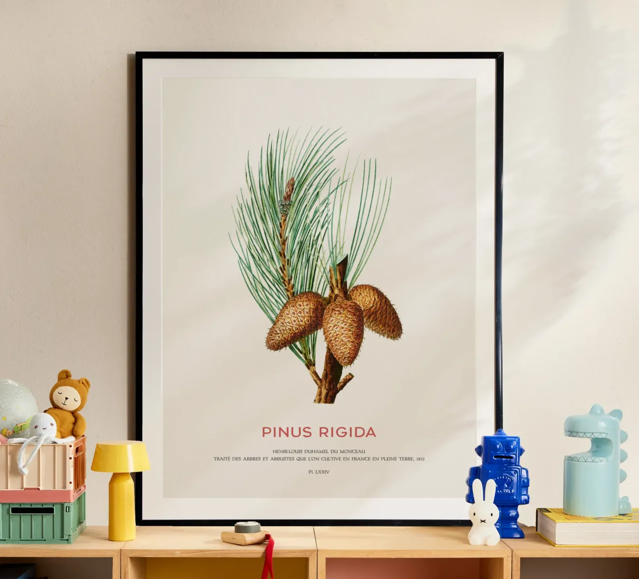 Pechkiefer oder Pinus Rigida Hahnemühle von Vintagrafica