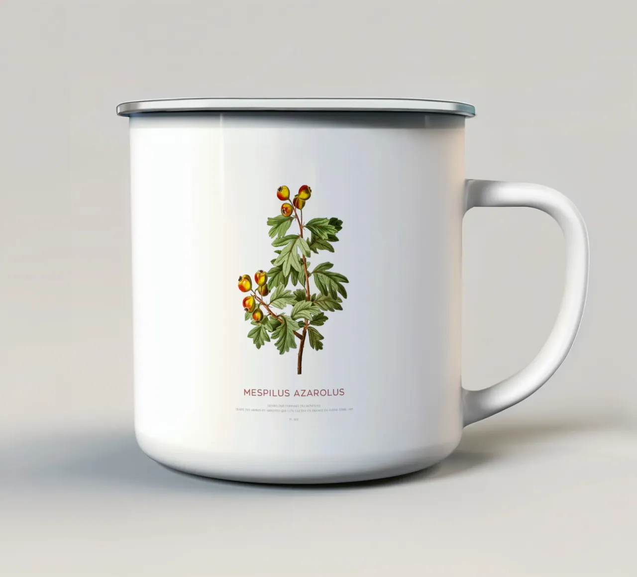 Mittelmeer-Mispel oder Mespilus Azarolus Emaille Tasse von Vintagrafica