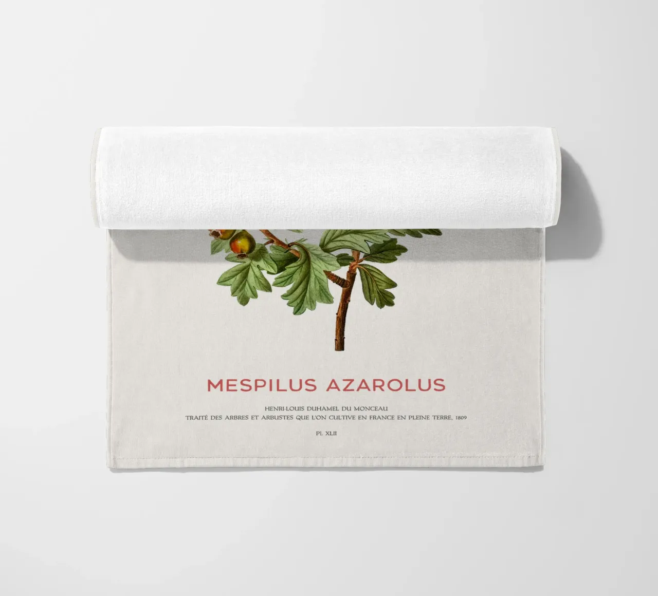 Mittelmeer-Mispel oder Mespilus Azarolus Strandtuch von Vintagrafica