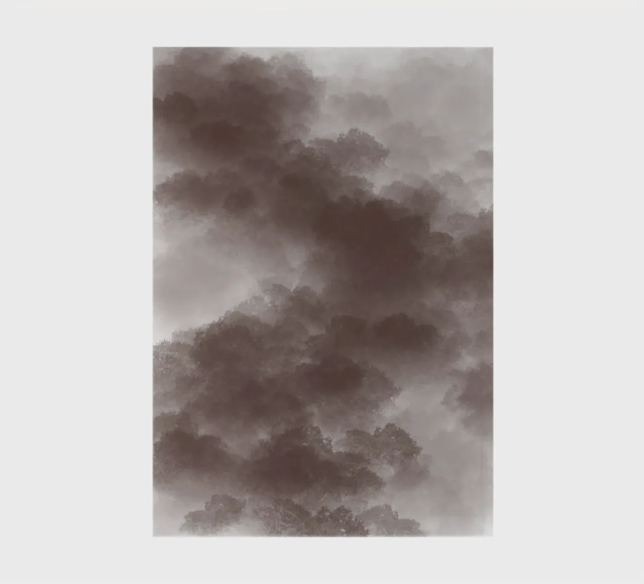 Forest of Clouds 3 notebook by Studio B