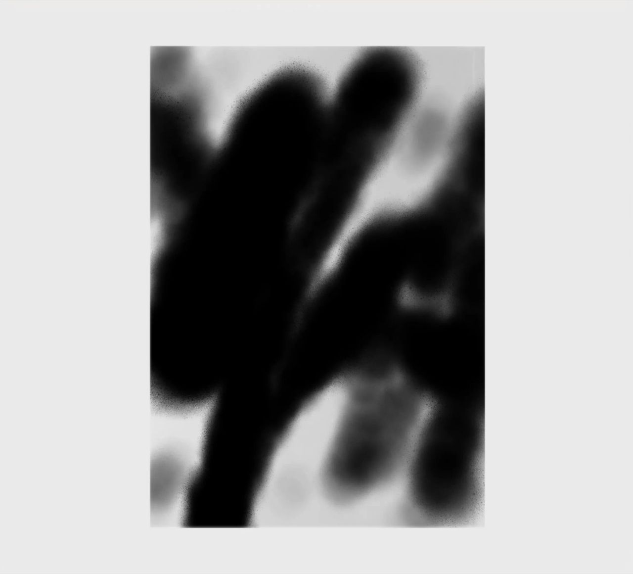 Hazy Black & White Abstraction notebook by Studio B