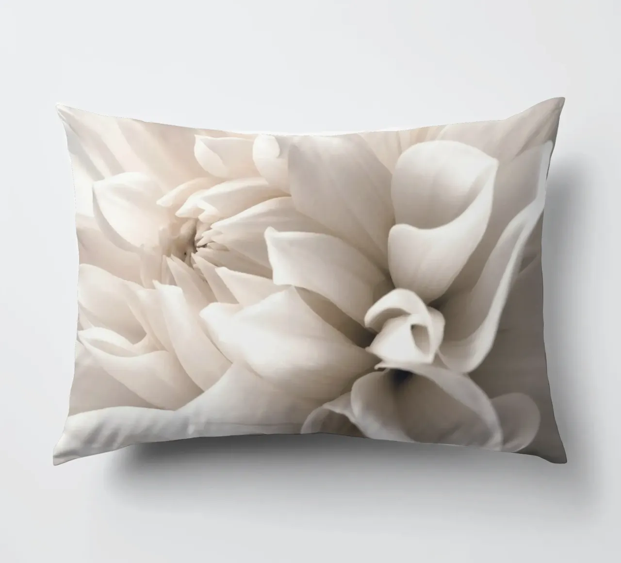 Delicate blossom - close-up in soft cream colours decorative cushion by Whole©