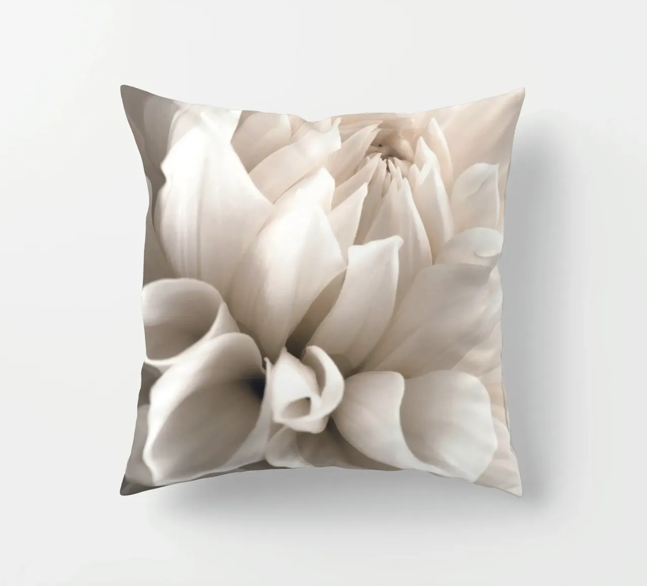 Delicate blossom - close-up in soft cream colours decorative cushion by Whole©
