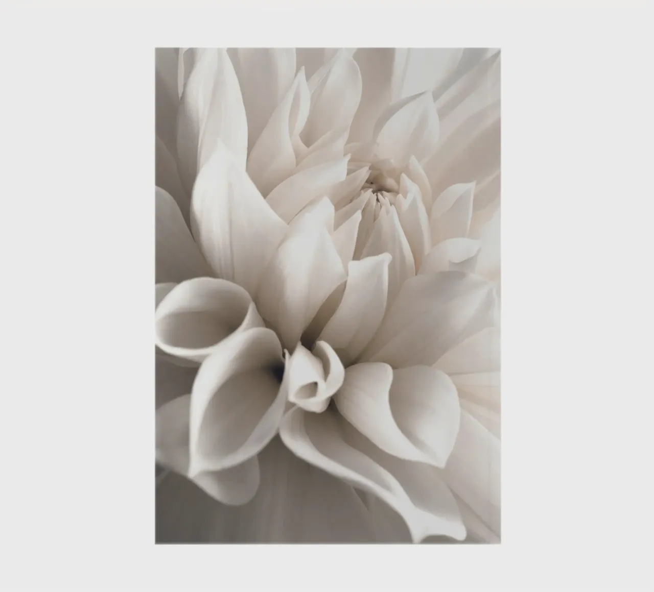 Delicate blossom - close-up in soft cream colours notebook by Whole©