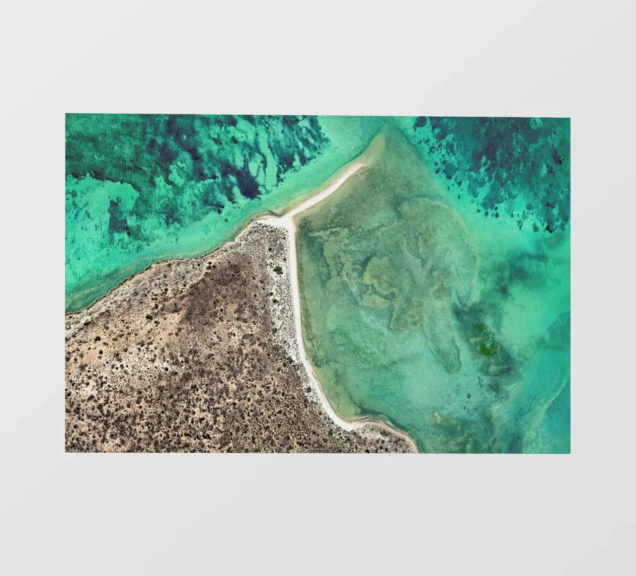 Shark Bay 8 pellicola backlit da Simon Butterworth